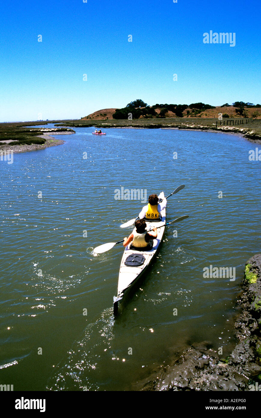 California Monterey area Kayaking in Elkhorn Slough Stock Photo Alamy