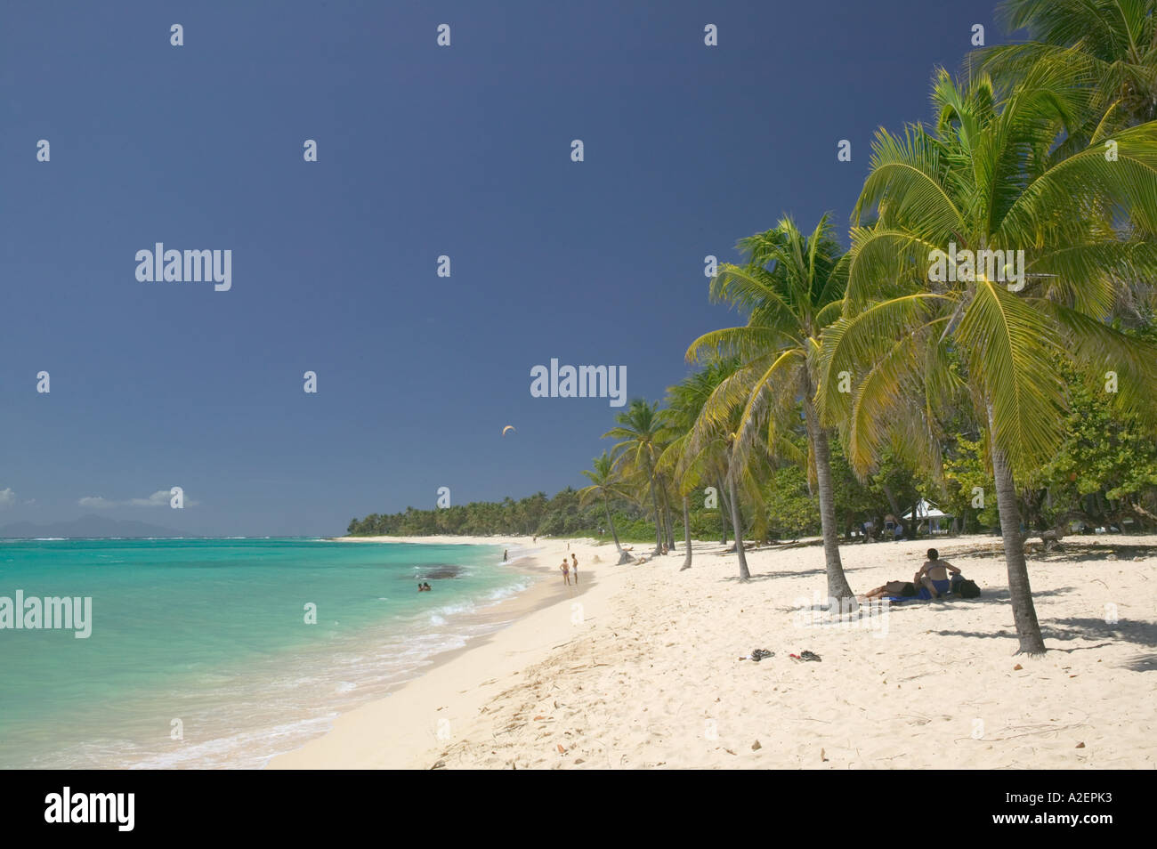 French West Indies Guadaloupe Marie Galante Island