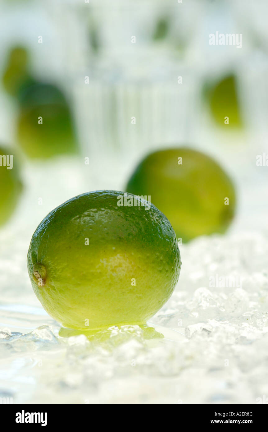 Lime fruit, close-up Stock Photo - Alamy