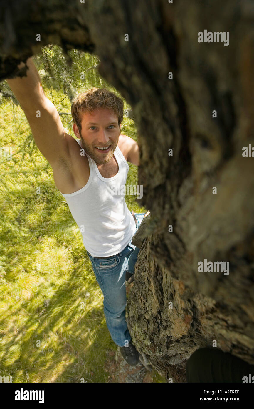 Young man climbing on tree, elevated view Stock Photo Alamy