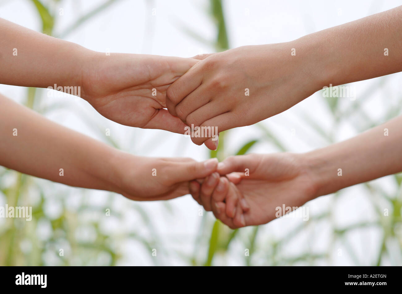Holding hands, close-up Stock Photo - Alamy
