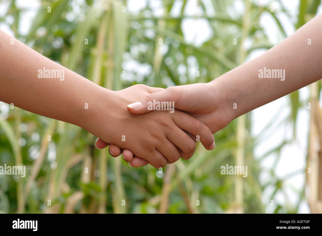 Holding hands, close-up Stock Photo - Alamy