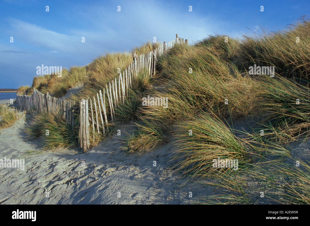 sand-dunes-on-the-beach-near-west-wittering-west-sussex-uk-stock