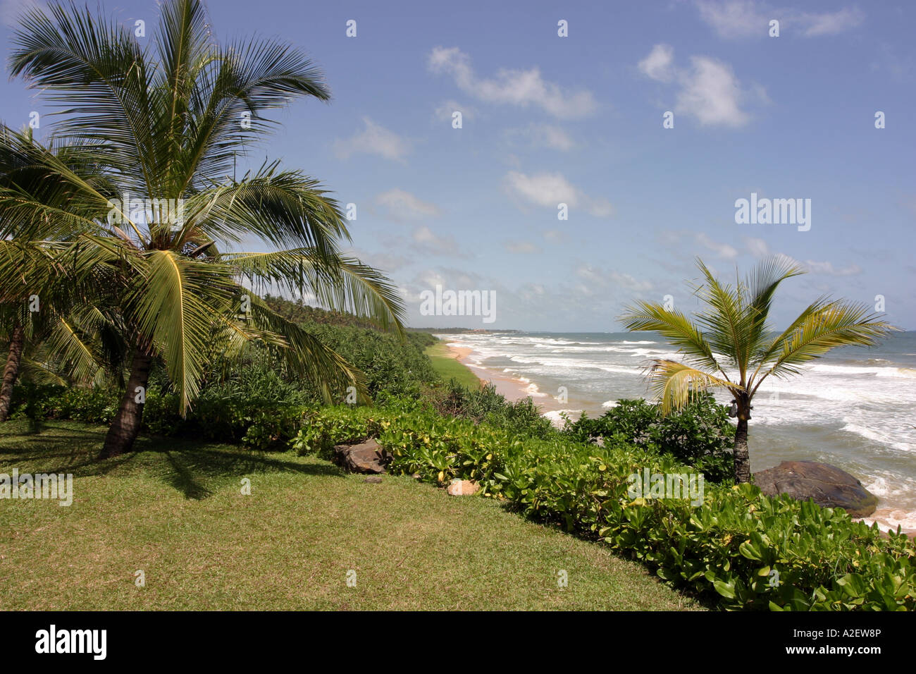 Sri lanka beach - Bentota beach a tropical beach with sand and palm ...