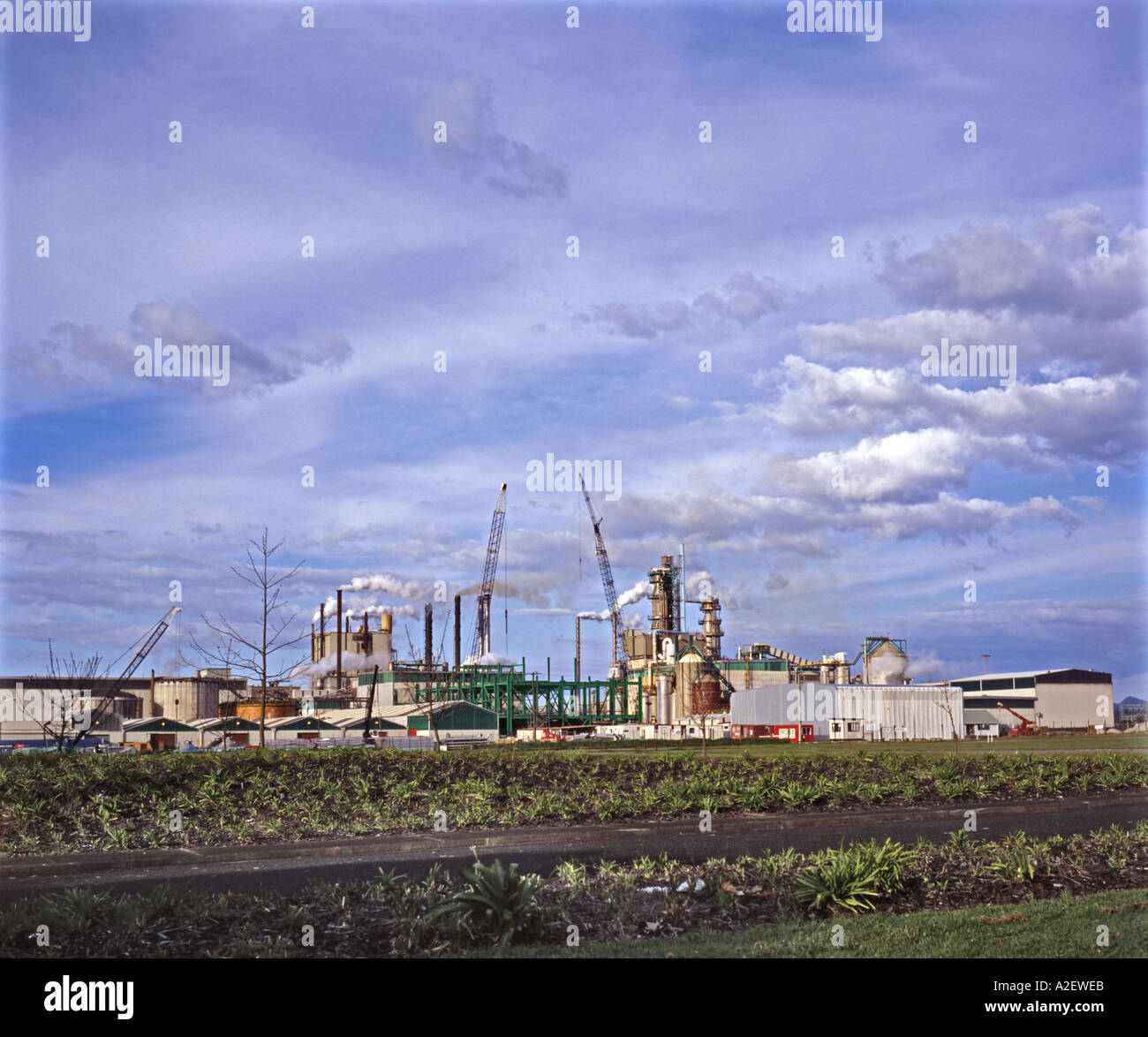 Carter Hold Paper Mill New Zealand Stock Photo Alamy