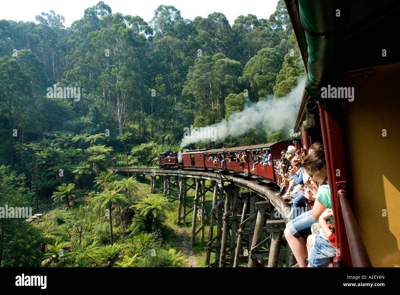 Puffing Billy Railway crosses wooden trestle bridge Dandenong Ranges National Park Victoria