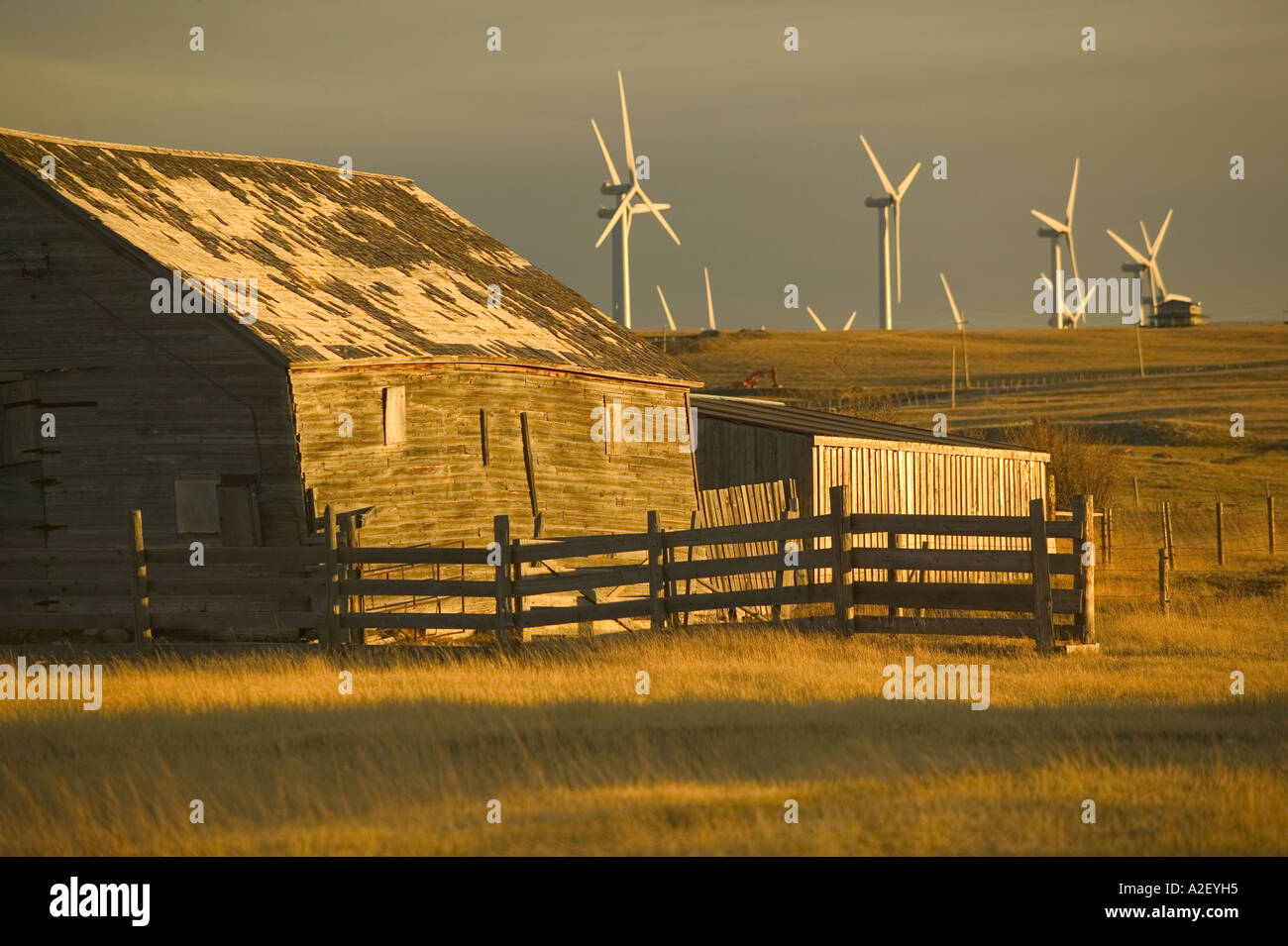 Canada, Alberta, Crowsnest Pass Area Cowley Ridge Wind Farm Landscape
