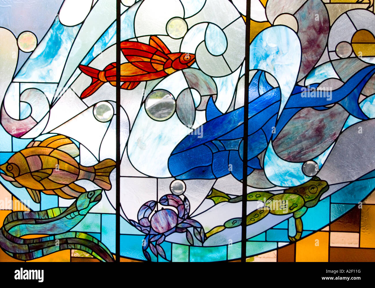 Creation Stain glass window of the fish and sea animals. First Lutheran Church Fergus Falls