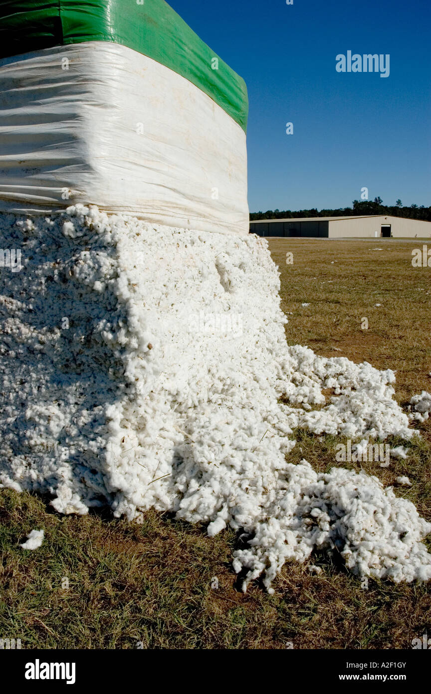 Bale cotton hires stock photography and images Alamy