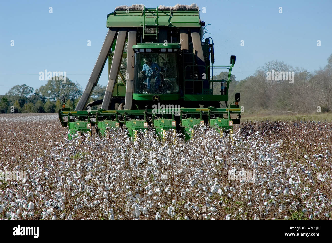 P32 167 Cotton Picker Front Western Georgia Stock Photo
