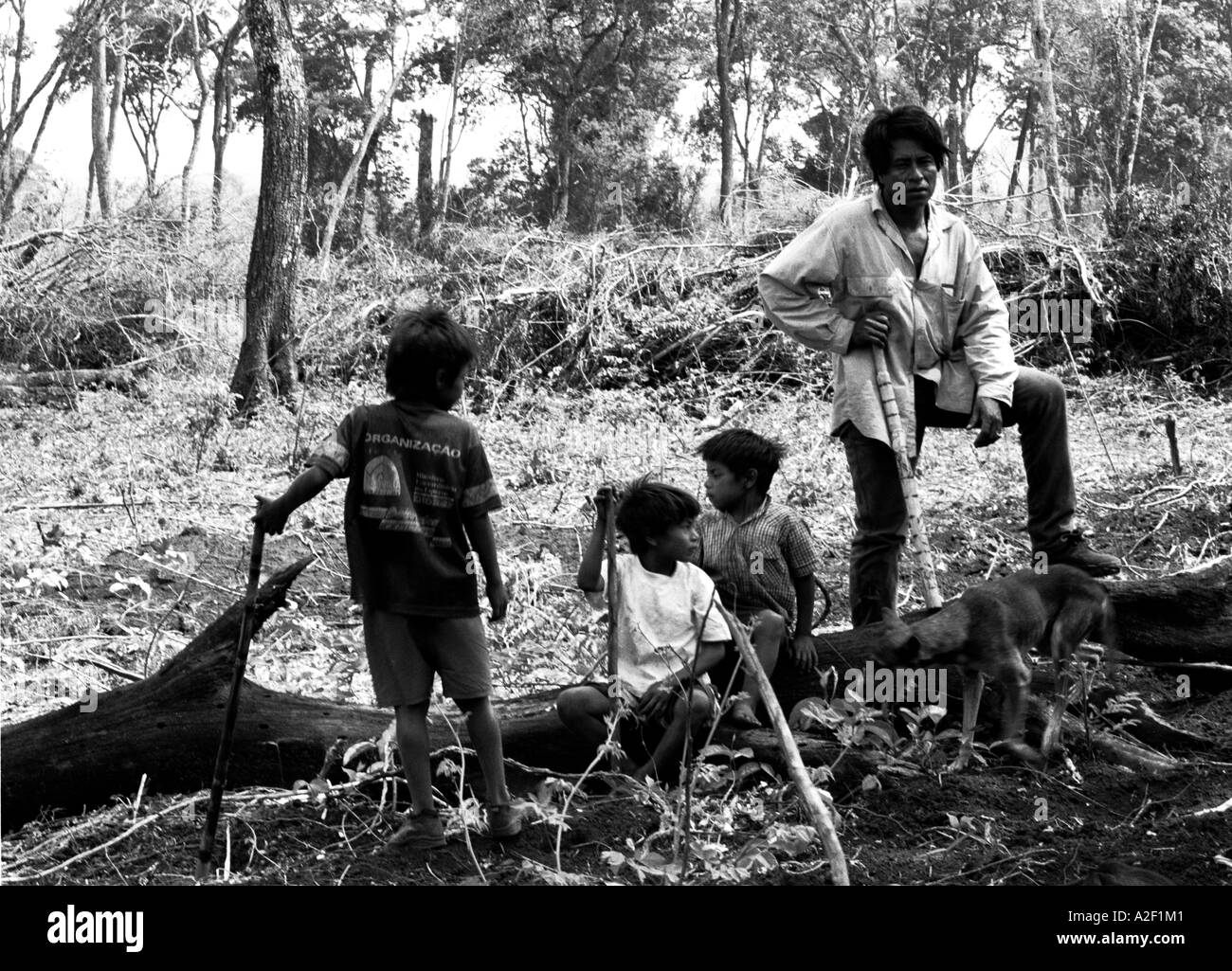 Guarani-Kaiowa indians in Brazil's Matto Grosso do Sul state survey damage done to sacred land by illegal logging Stock Photo
