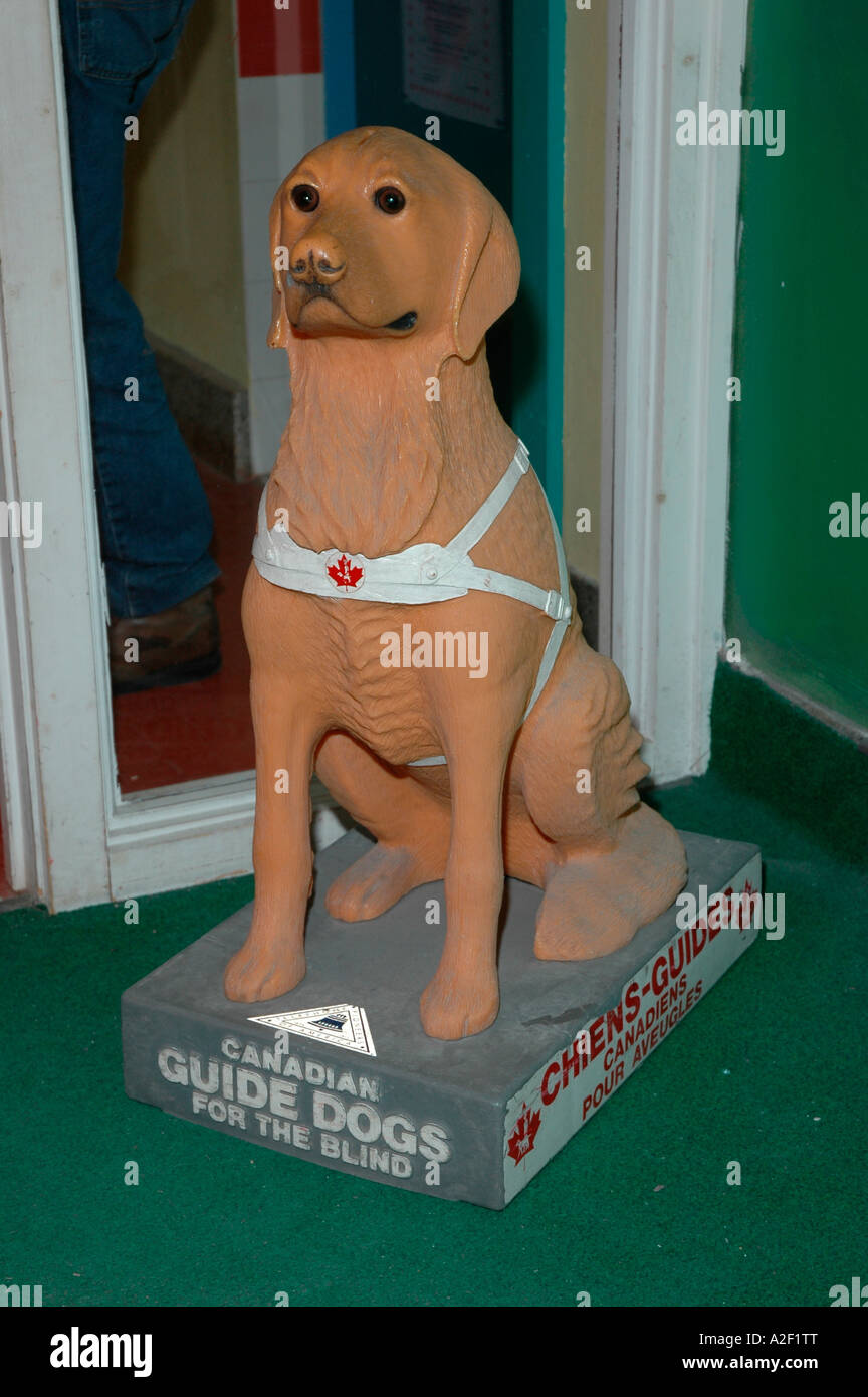 P32 197 Canadian Guide Dogs For The Blind Statue - London Childrens Museum Ontario Canada Stock Photo
