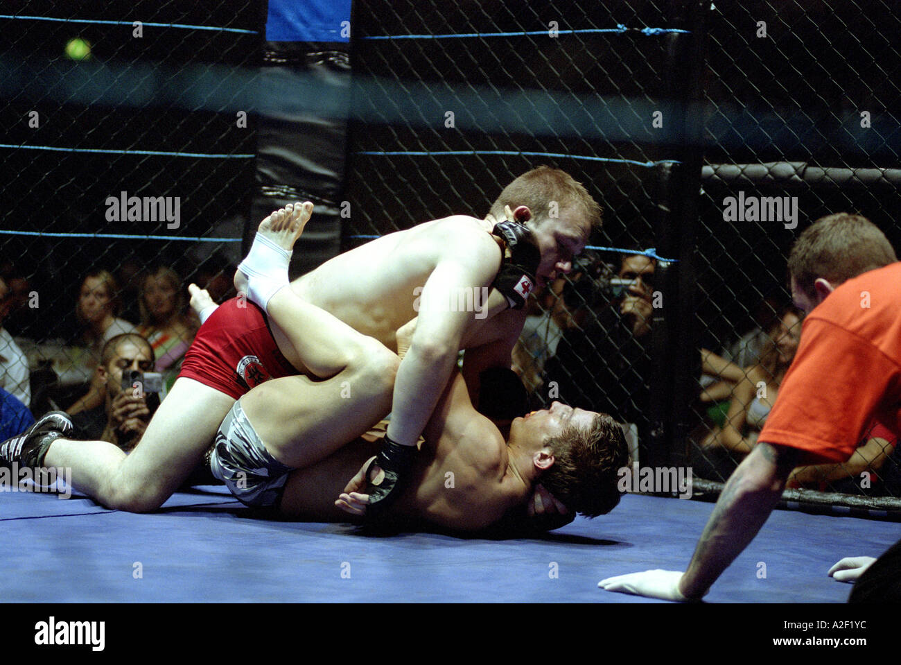 Combat, or cage, fighters at a cage combat competition Stock Photo - Alamy