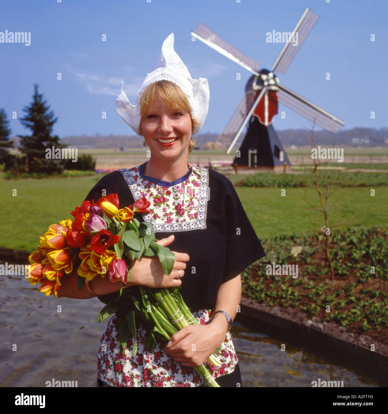 Dutch girl in traditional costume holding a huge bunch of red and ...
