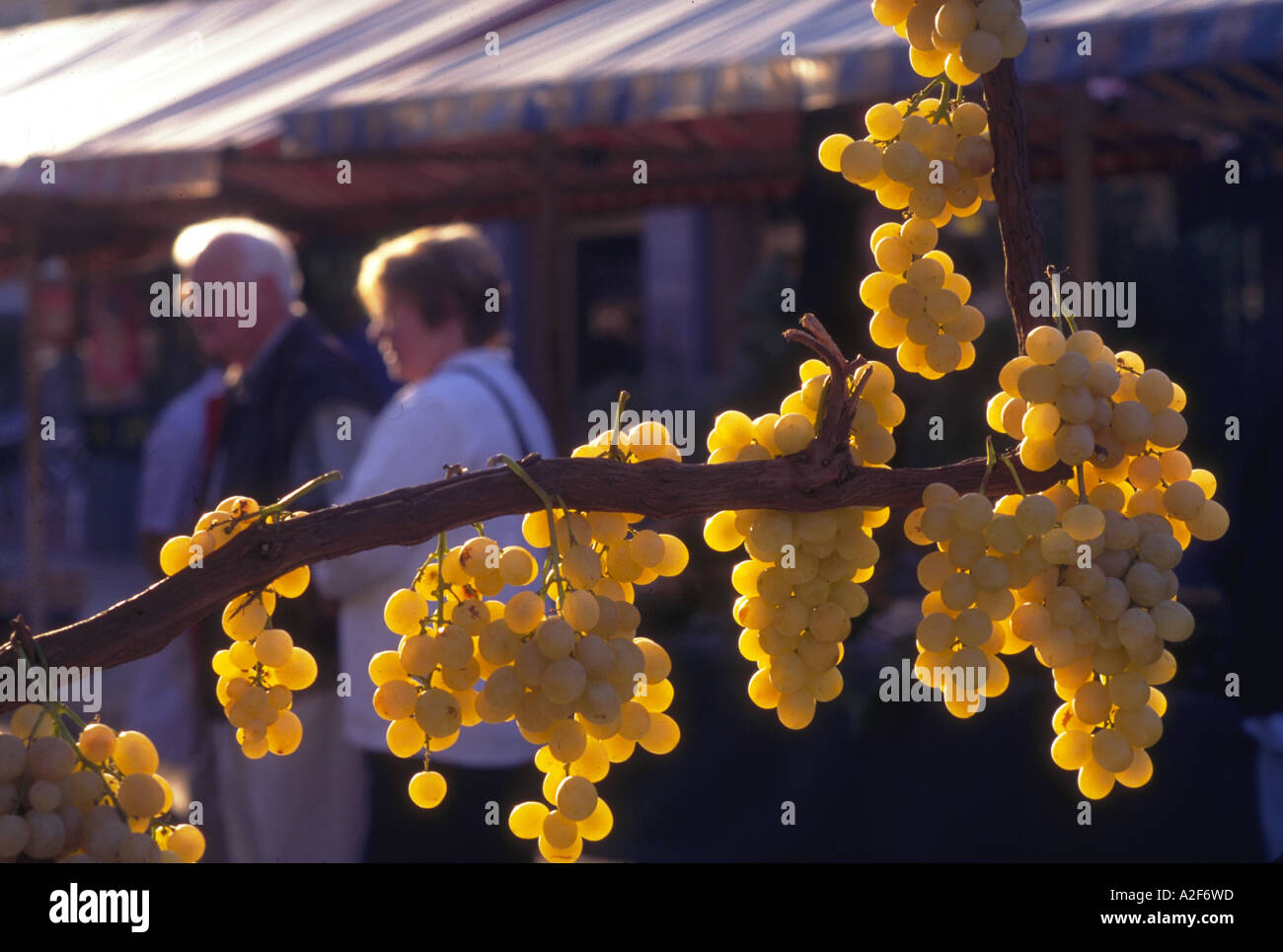 France, Provence, Nice. Old Town market on Cours Saleya.  Grapes. Stock Photo