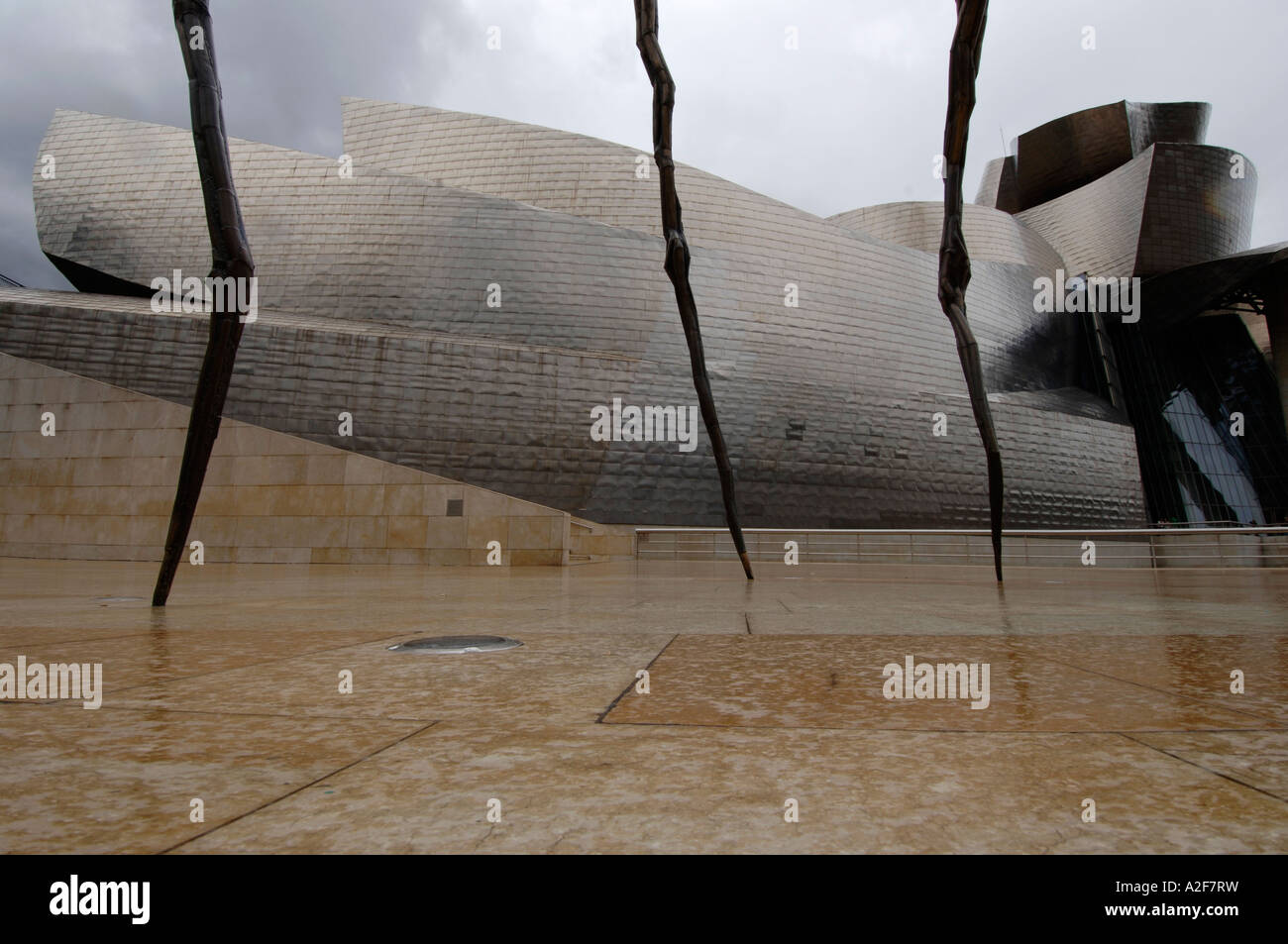 Bilbao, Guggenheim Museum, architect Frank O. Gehry Stock Photo