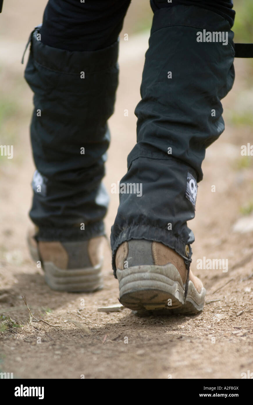 Closeup of hiking boots walking on a trail Stock Photo Alamy