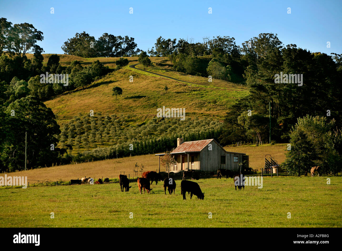 A rural retreat in Kangaroo Valley New South Wales Australia Stock Photo Alamy
