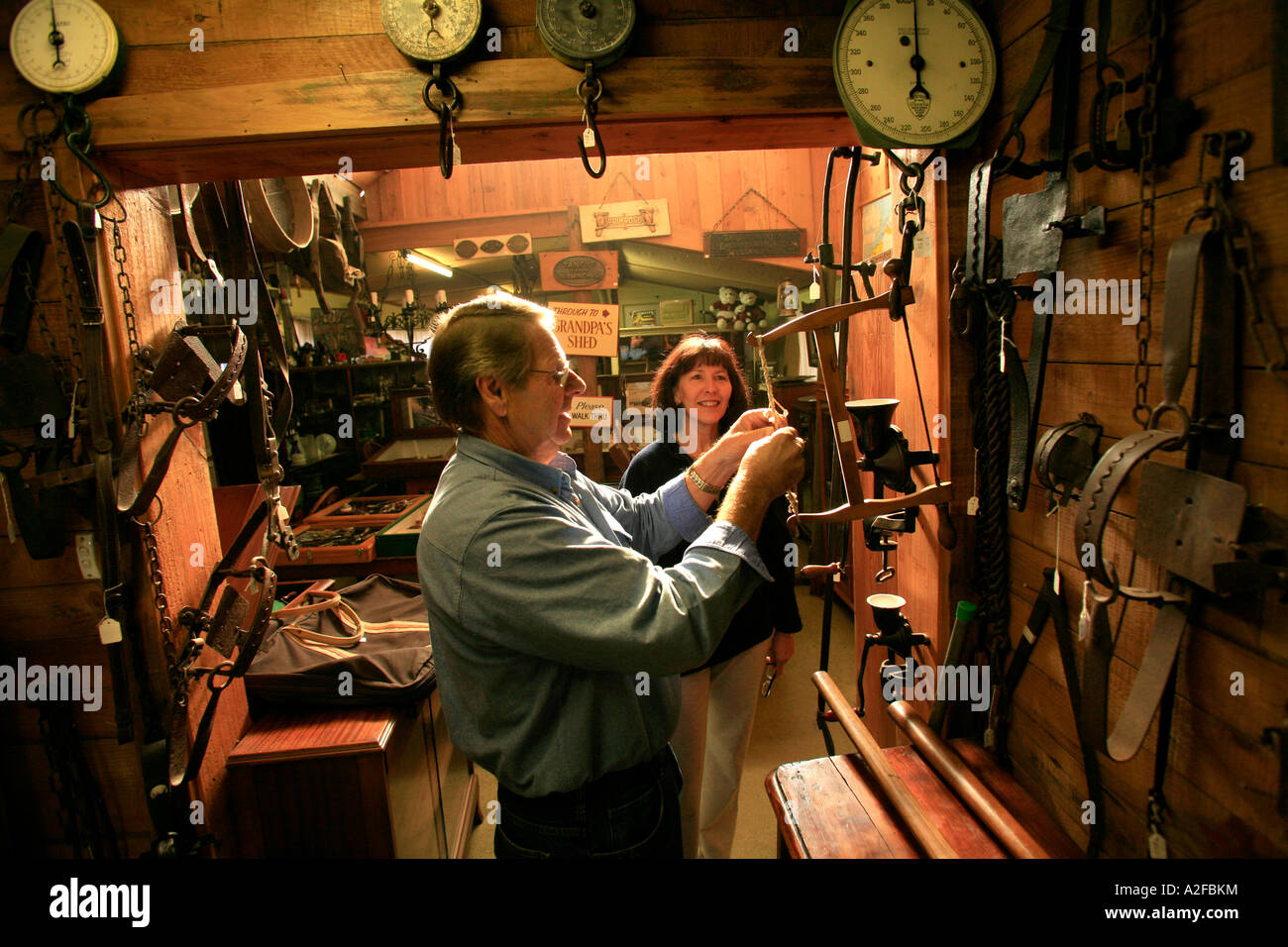 A middle aged couple examine antiques at Grandpa s shed Fitzroy Falls in the Southern Highlands of NSW Stock Photo