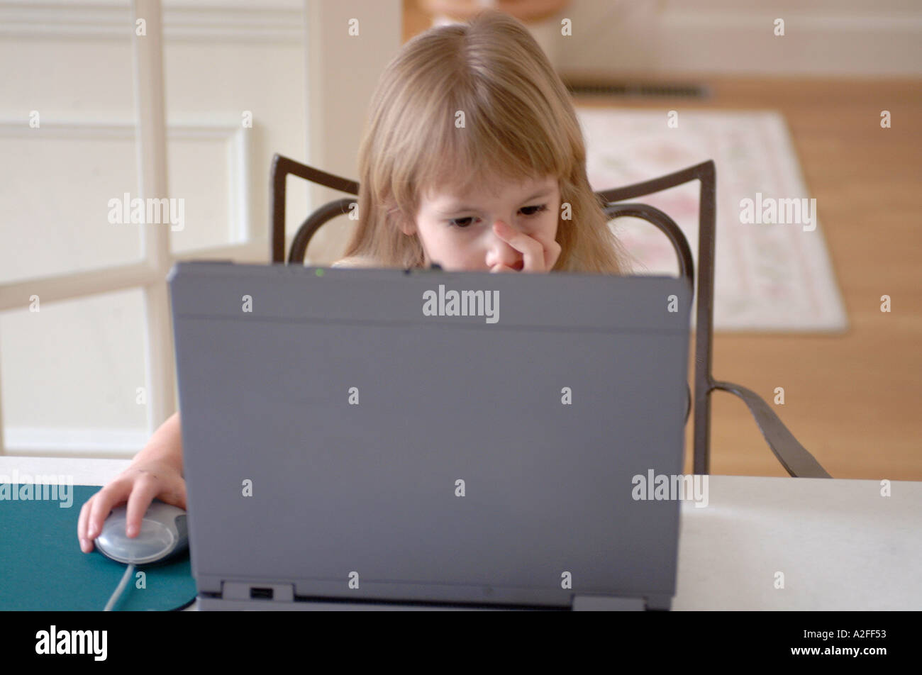 A young 4 year old girl concentrates while she plays on a laptop computer at her dining room table in her home Stock Photo
