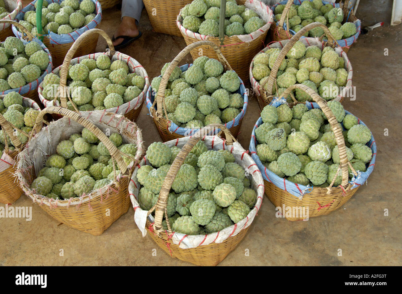 Annona fruits hi-res stock photography and images - Alamy