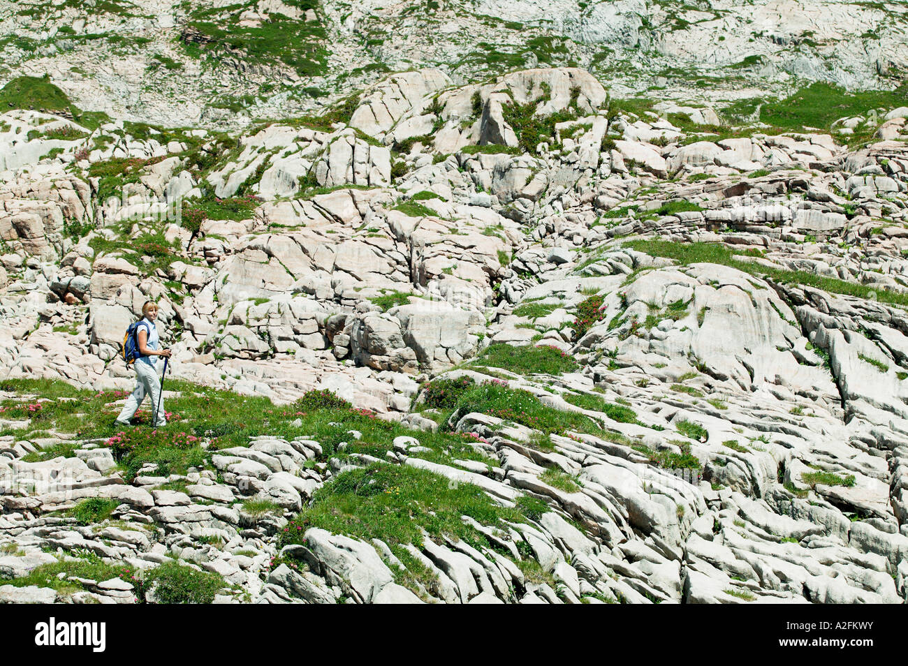 Woman hiking in austrian alps Stock Photo - Alamy
