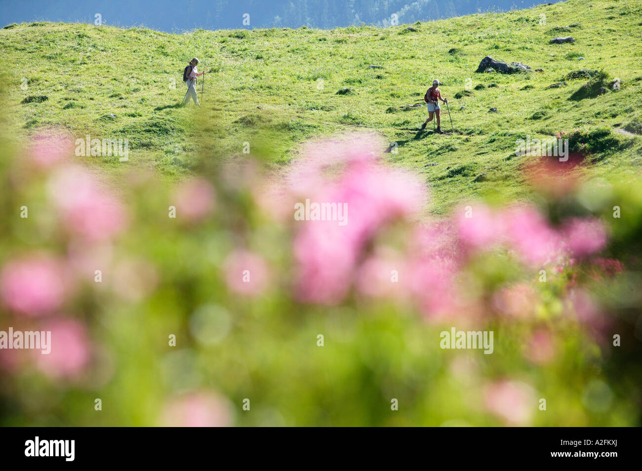 Two women hiking in Austrian alps Stock Photo - Alamy
