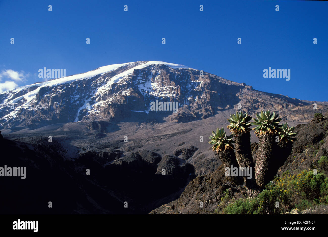 Kilimanjaro Mountain south face viewed from Karanga Valley Tanzania Africa Stock Photo