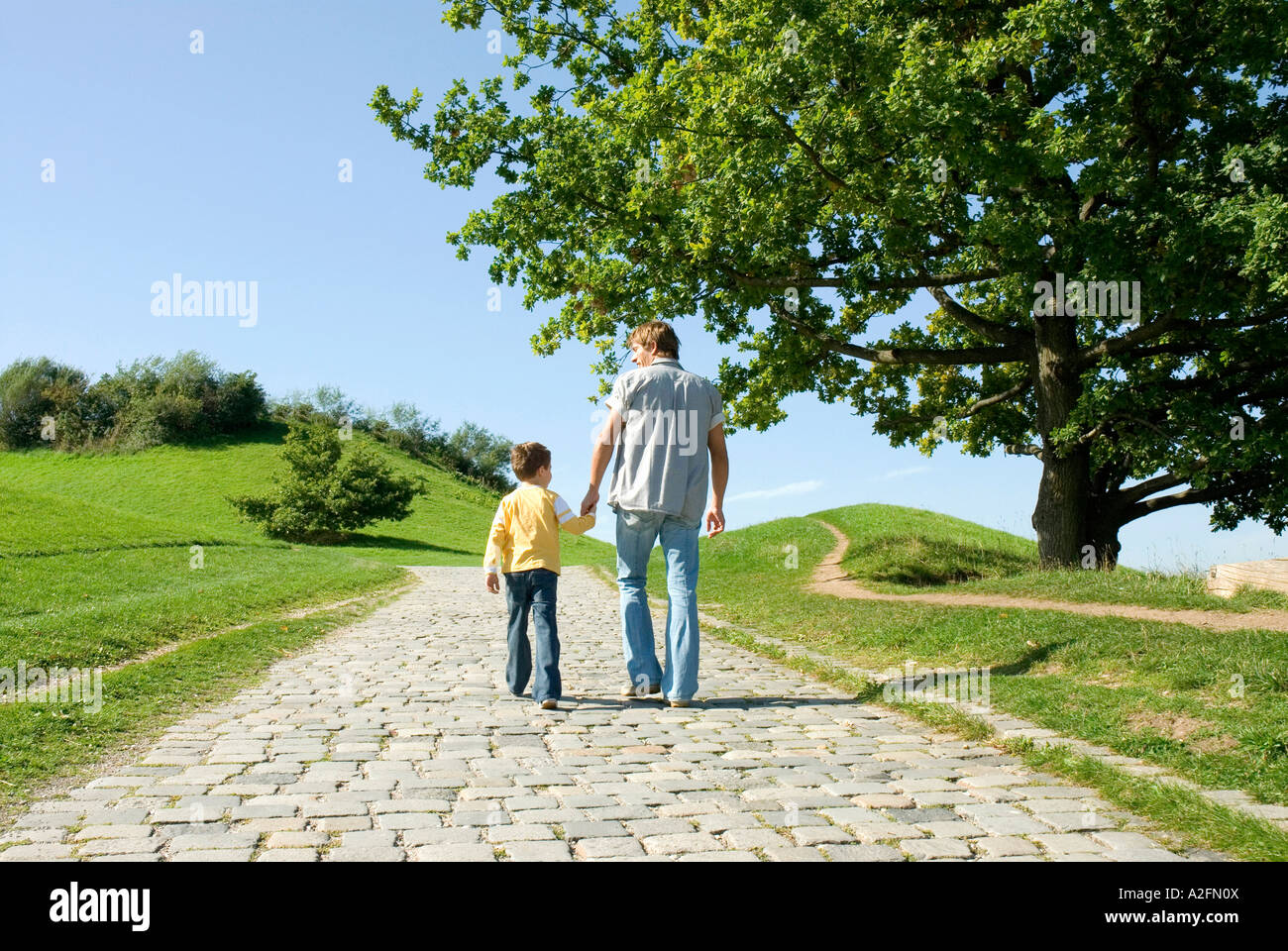 Father and son walking hand in hand, rear view Stock Photo