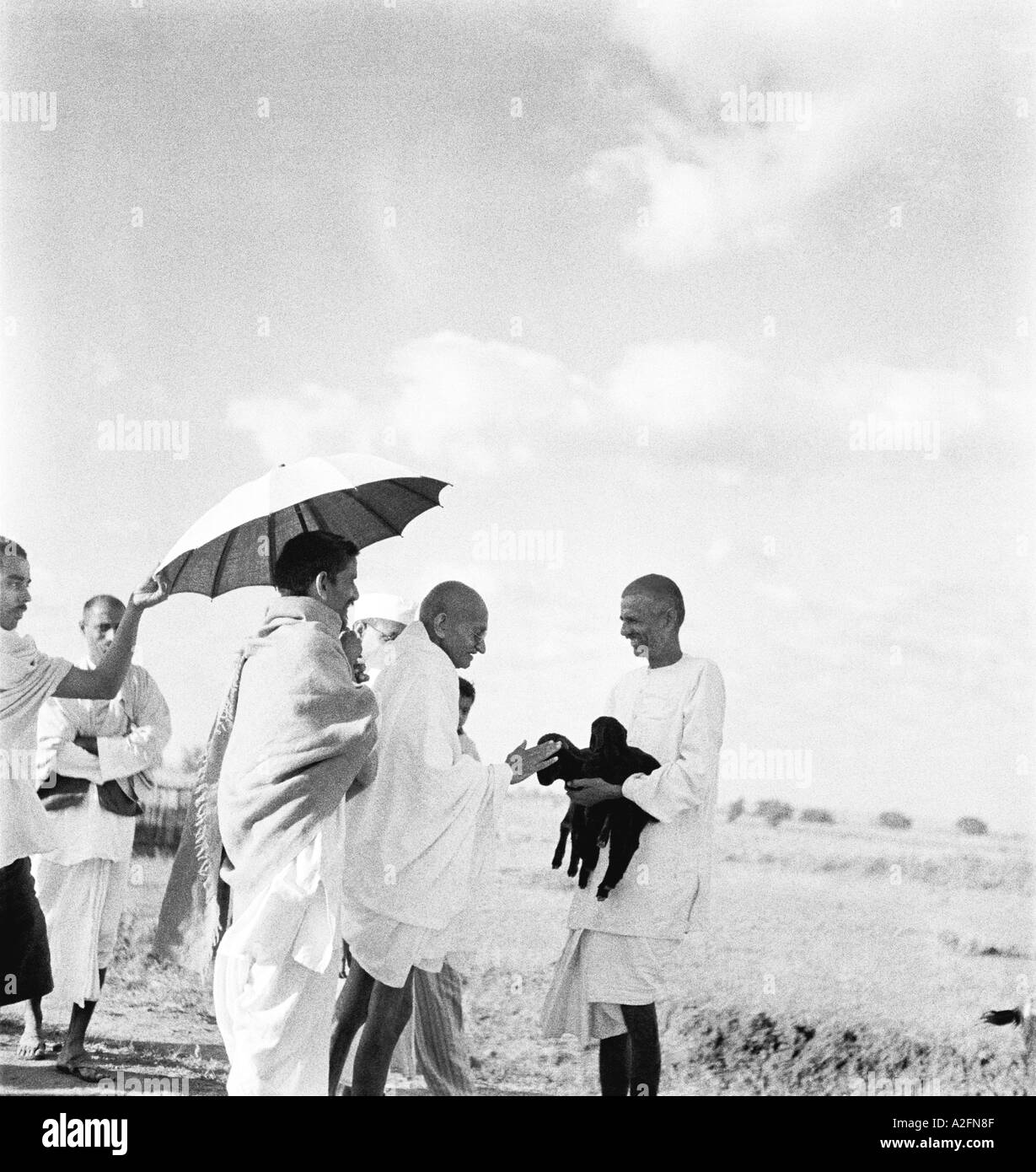 MKG33406 Mahatma Gandhi fondling a newborn goat September 1938 Stock Photo