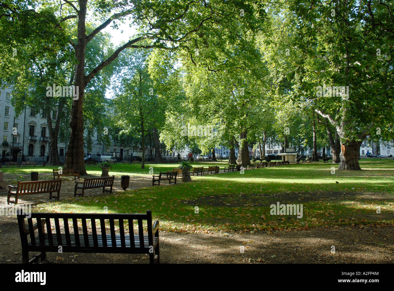 Berkeley Square in Mayfair London Stock Photo Alamy