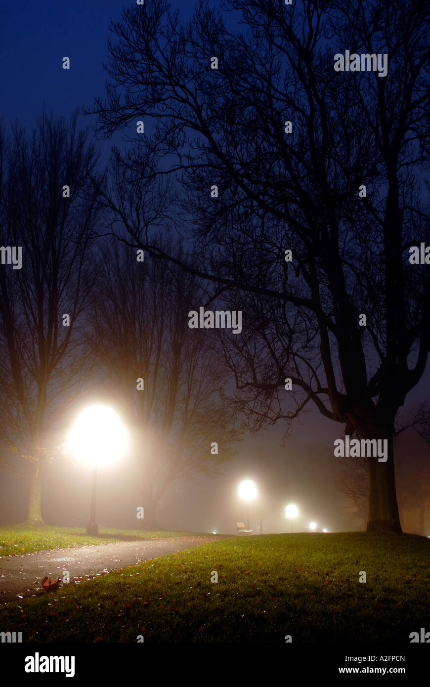 December fog at night on Primrose Hill London Stock Photo - Alamy