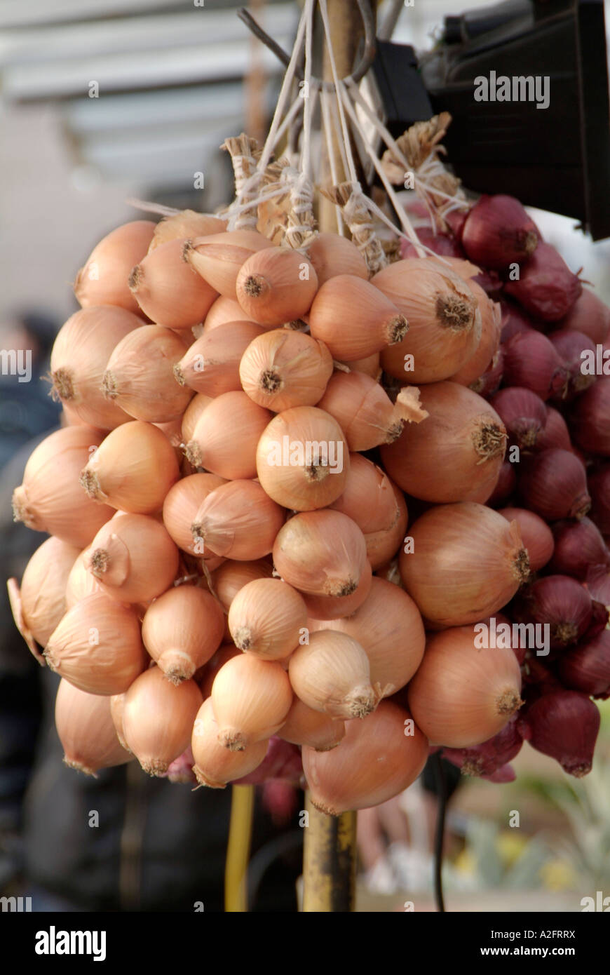 onion, onions, string, strings, french, france, sterotype, hanging Stock  Photo - Alamy