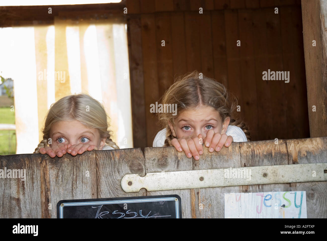 Two (8-11) girls hiding in stable Stock Photo