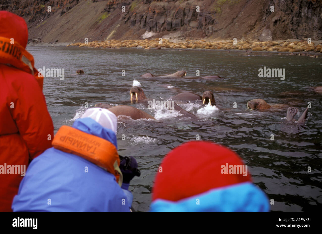 Asia, Russia, Siberian Arctic, New Siberian Islands. Tourists viewing