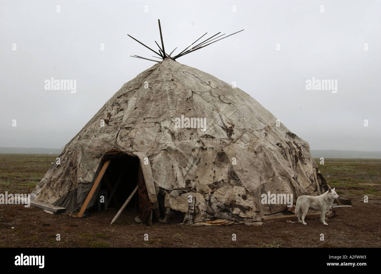Яранга – национальное жилище народов чукотки. Чоттагин в яранге. Дома яранга. Жилище коряков яранга. Дома яранга.