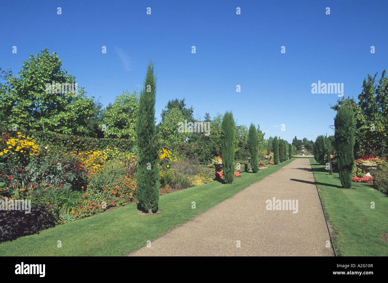 Ornamental gardens in Regents Park London Stock Photo Alamy