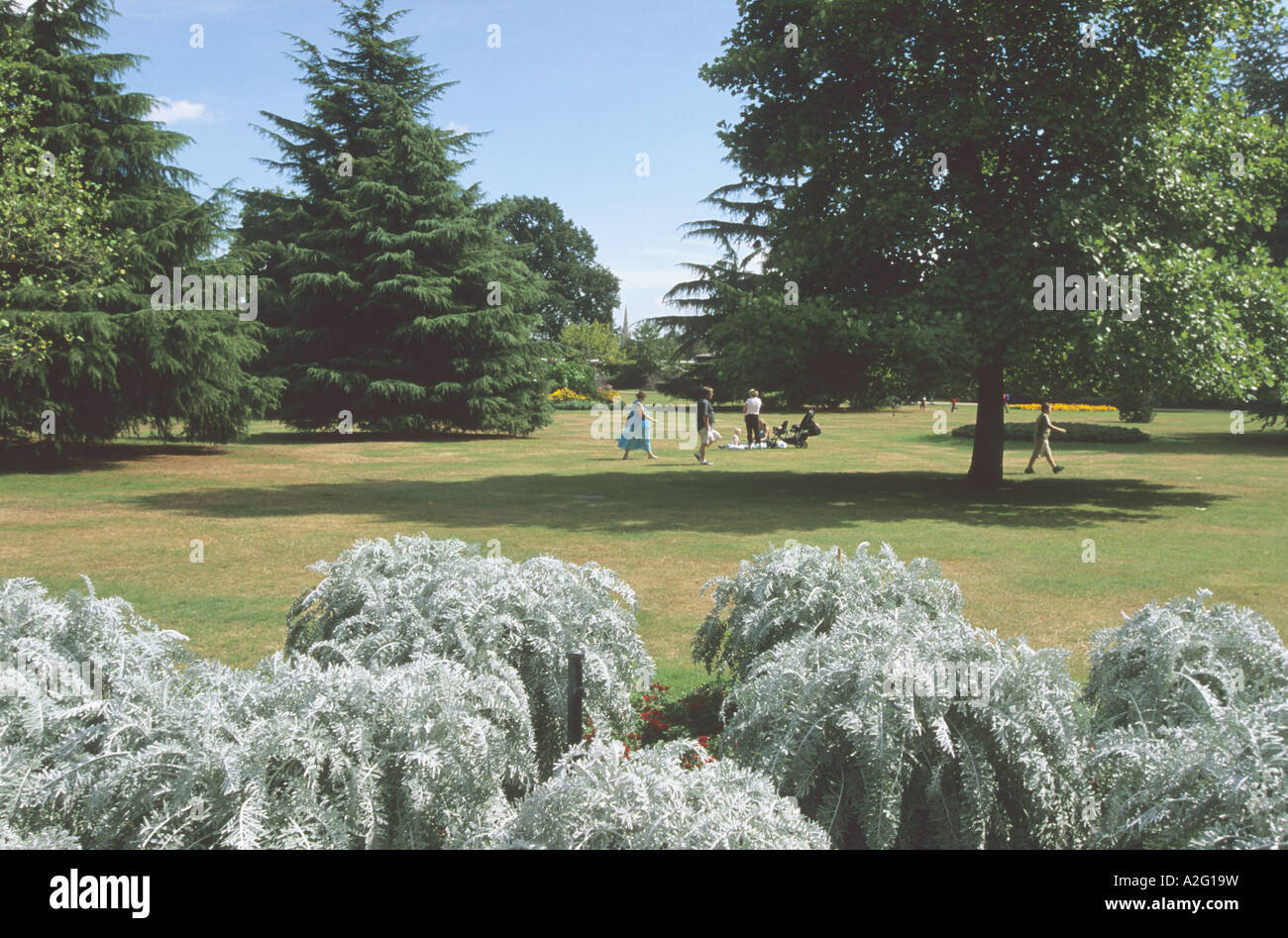 Greenwich Park, London people parkland Stock Photo