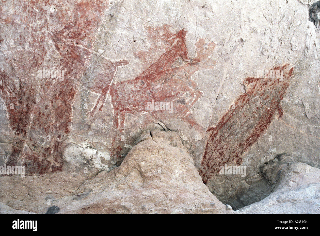 rock paintings in the Sierra San Francisco near San Ignacio, Baja