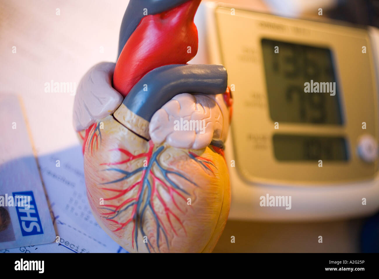 Electronic Sphygmomanometer scale model of heart closeup close up