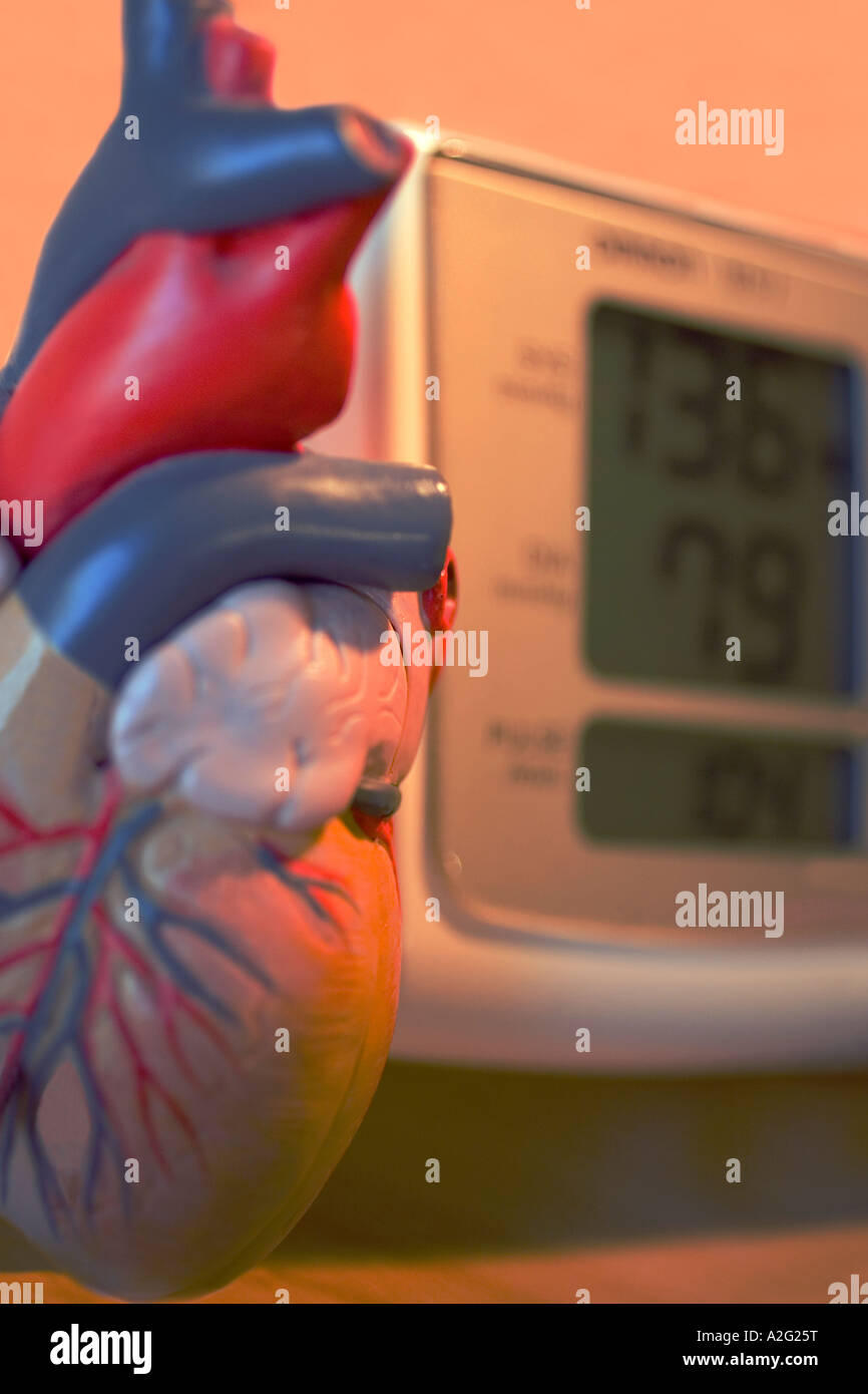 Electronic Sphygmomanometer scale and model of heart closeup close up