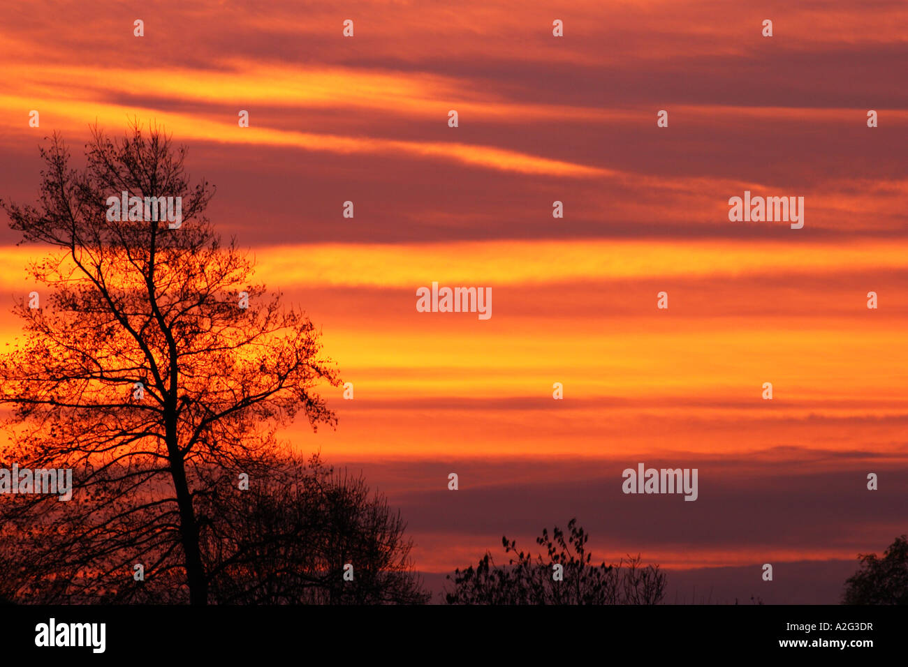Blazing red sunrise Stock Photo