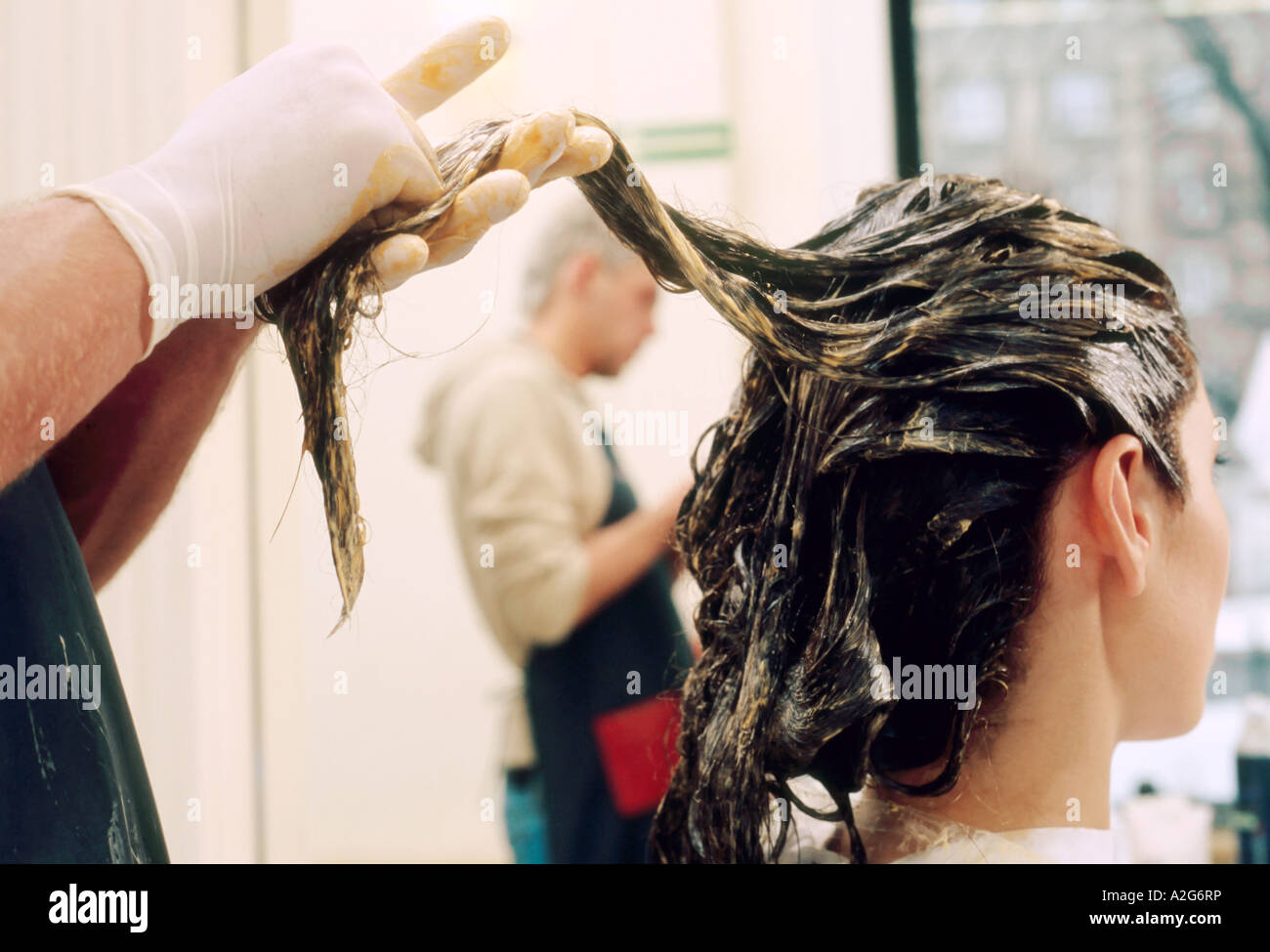 1221972 indoor hair dressing hair dressing salon couple young man