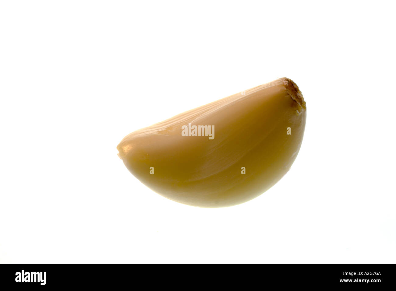 Close-up of a clove of garlic on a white background Stock Photo - Alamy