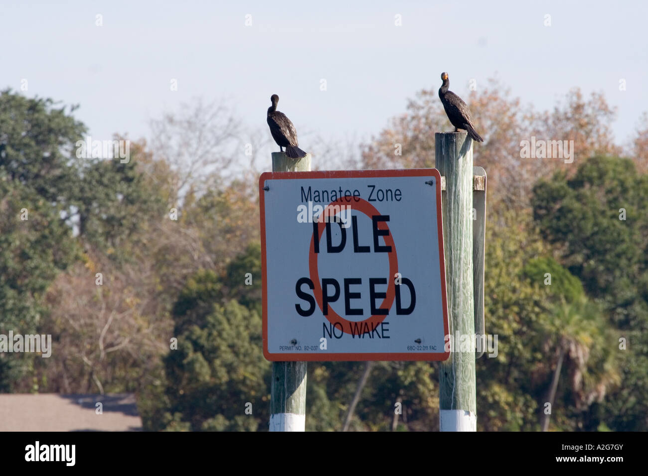 Birds sitting on boat sign Stock Photo