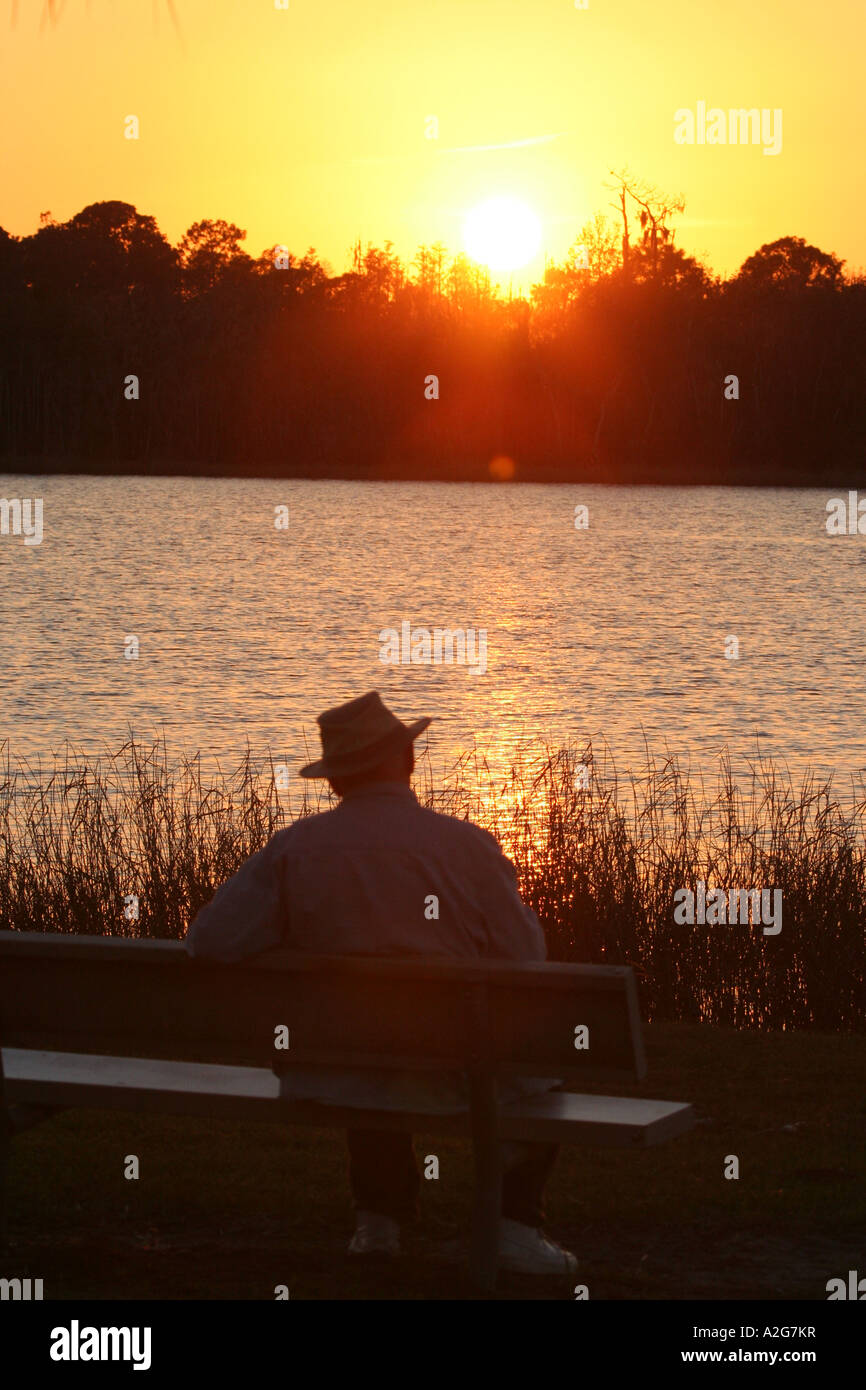Old man sitting on bench by pond Stock Photo