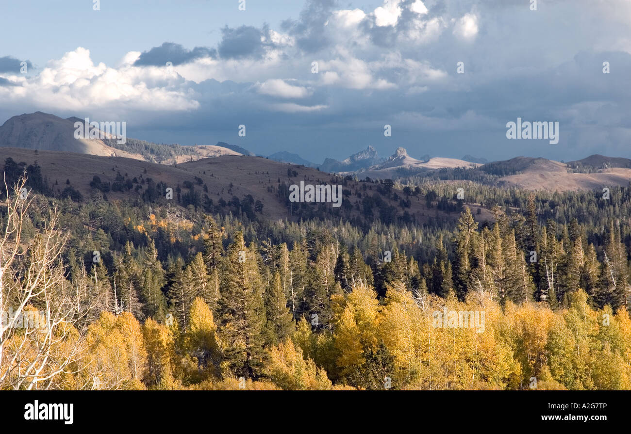 Eldorado National Forest, California Stock Photo Alamy