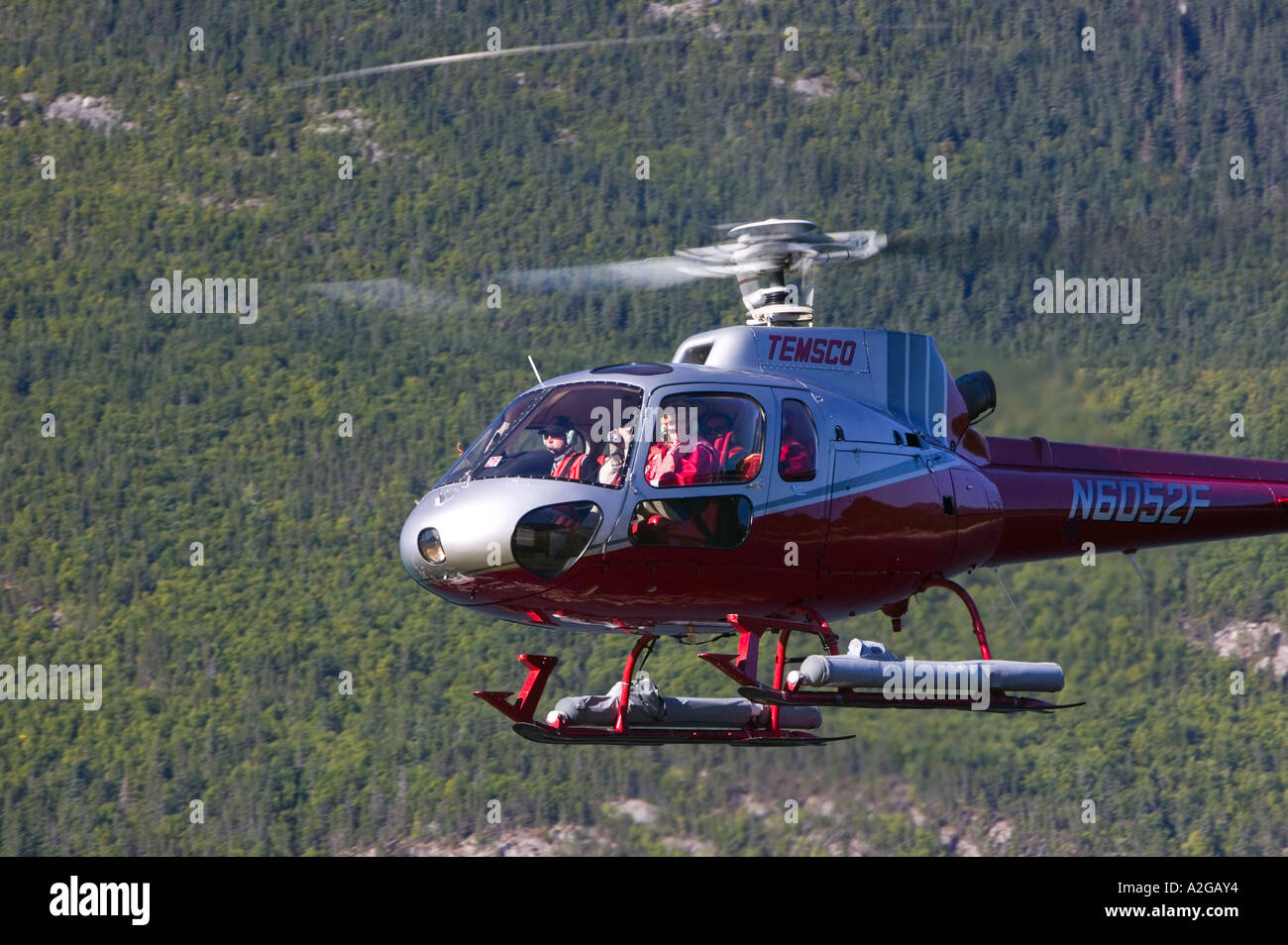 USA, ALASKA, Southeast Alaska, SKAGWAY: Temsco Helicopter taking tourists on Glacier Tours Stock Photo