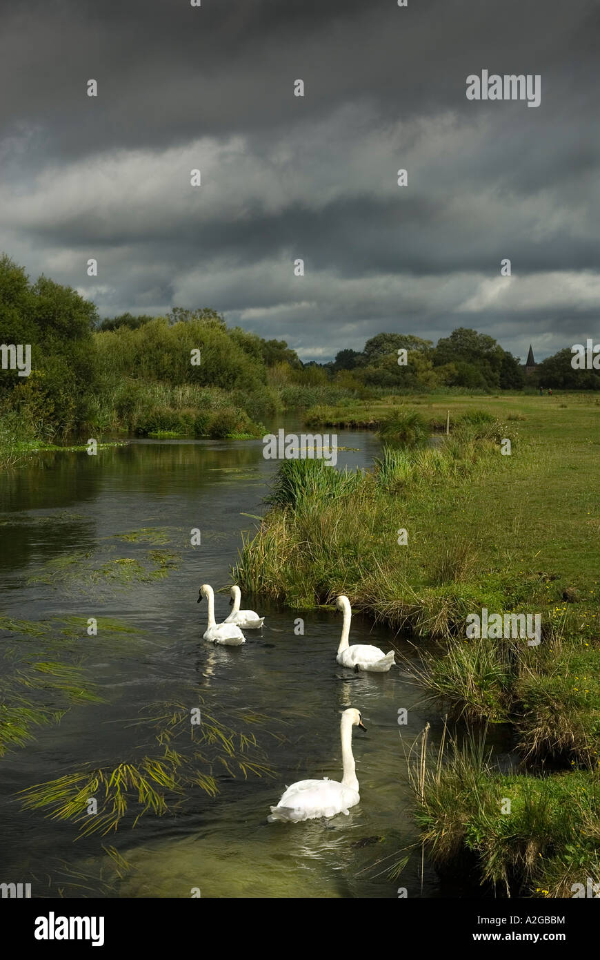 River Test Stockbridge Stock Photo Alamy