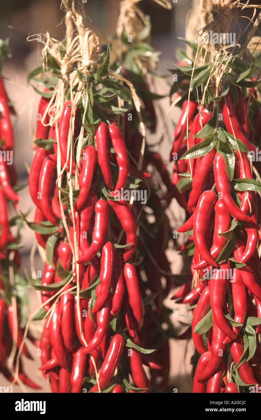 USA, Arizona, Tubac South Arizona's Premier Craft Town Chili Ristra